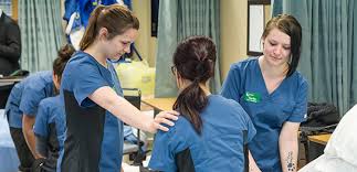 Only current job postings for patient care assistant positions in usa are available on jobtonic.com. Point By Point Information About Care Assistant Jobs Earths Book