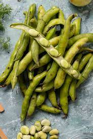 what are fava beans broad beans