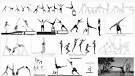 Association Edelweiss - Mouvements de gymnastique des bbs