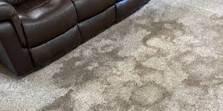home matthews quality carpet cleaning
