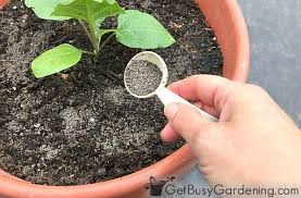 How To Fertilize Outdoor Potted Plants