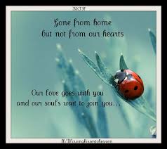Grief Quotes With Ladybug Google Search Ladybug Quotes