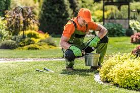 Lawn Mowing Services In Hairini Ohauiti
