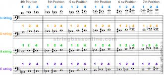 String Bass Online Fingering Chart