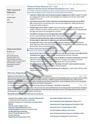 Executive Resume Sample Global Human Resources Executive