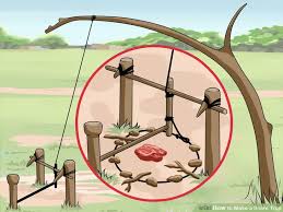 So the size of the rabbit and consequently the size of the snare loop is crucial to the snare trap overall. How To Make A Basic Snare Trap 4 Different Ways Thrifty Outdoors Man