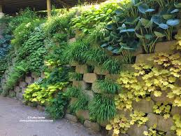 a living wall of shade plants in a