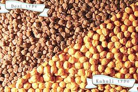How To Process Chickpeas Seeds Industrially Shelling