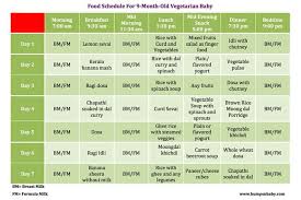 11 Month Baby Food Chart Www Bedowntowndaytona Com