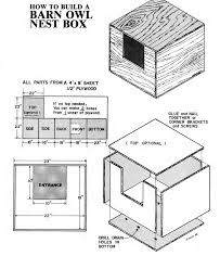 Barn Owl Owl Box Homemade Bird Houses