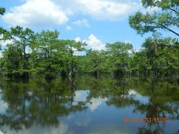 Maybe you would like to learn more about one of these? The 10 Best Things To Do Near Caddo Lake State Park Karnack Tripadvisor
