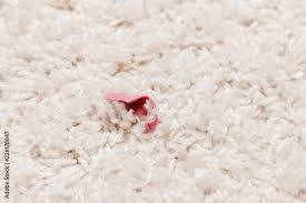 clean chewing gum with pile carpet