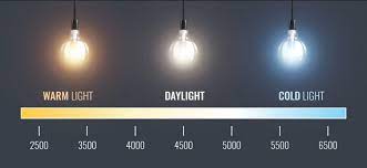 which light is best for studying