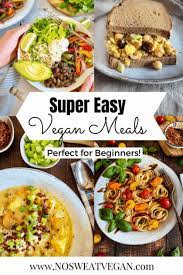Easy Vegan Oven Recipes gambar png