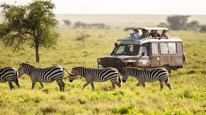 Discover And Explore Amazing Ababa Uganda Safari Tours • Uganda Safaris
