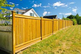 Privacy Fence Ideas For Colorado