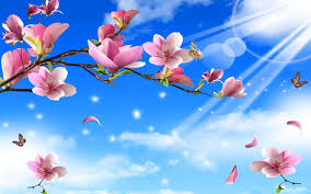 flowers and erflies backgrounds