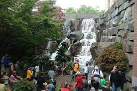 seattle s waterfall garden park with kids