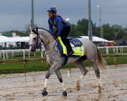 Kentucky Derby: 2022 horses at a glance ...