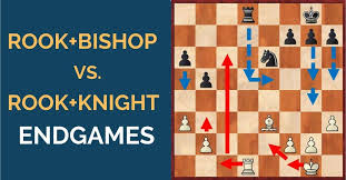 Rook opening / losing it on twitter this is the best opening move in chess simply take the rook and eliminate the opponents king winning the game : Rook And Bishop Vs Rook And Knight Endgames At Thechessworld Com