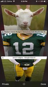 Want to make your own memes for free? I Did A Meme Packer Fans Greenbaypackers