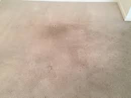 asap carpet upholstery pressure