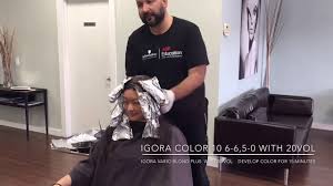 Schwarzkopf Professional Igora Color 10 And Express Balayage 15min For Development