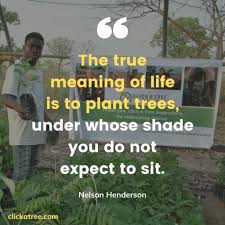 Why not check out our other top posts! 39 Best Tree Quotes About Life Business And Love Bonus Video
