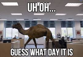 Family of three camels with a ball. 60 Funniest Hump Day Memes To Survive Wednesdays