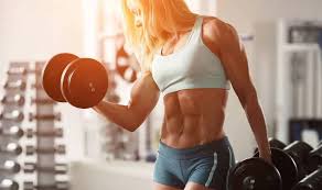 female bodybuilding workout plan