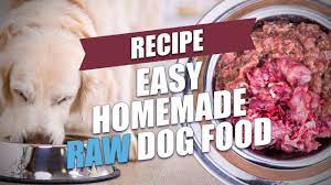easy homemade raw dog food recipe fast