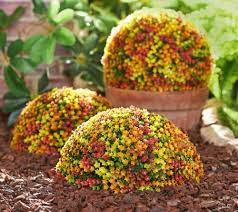 Faux Flower In Outdoor Garden Spheres