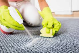 how to use vinegar to clean carpet