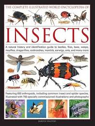 The Complete Illustrated World Encyclopedia Of Insects A