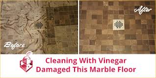 clean your tile and grout like you mean