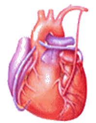 top jeddi heartbeat stickers for