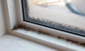 black mold on window sills causes