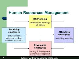 Human Resources Management Processes This Shows The Human