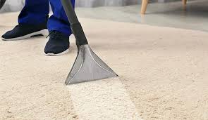 organic carpet cleaning in dallas fort