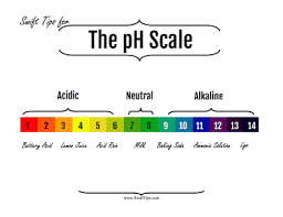 The Scale Of Acids And Bases On The Ph Scale Is Provided