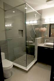 Standing Glass Enclosed Shower Modern
