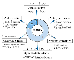 honey and atherosclerosis