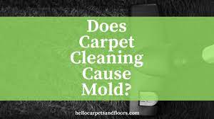 does steam cleaning cause mold o