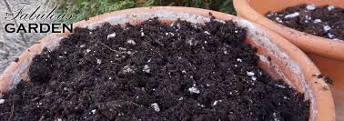 Use Potting Soil In My Pots