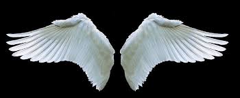 Two White Wings Angel Swan Swing