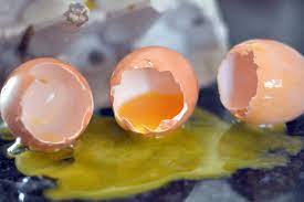Poules qui mangent leurs œufs : pourquoi et que faire ?​