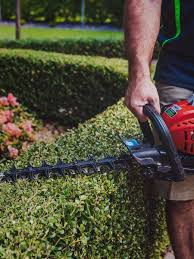 We double check to make sure we have completed your job to your satisfaction before we leave your property. Lawn Care Services Central Coast Lawn Mowing Lawns Of Distinction