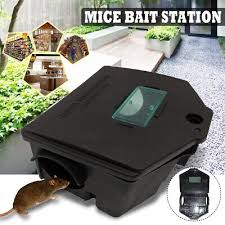 rodent box professional poison or bait