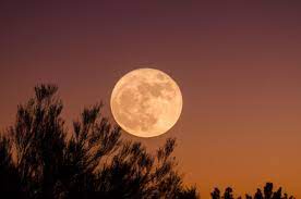 Full Moon September 2021 Uk - Harvest Moon: When is the next full moon in September 2021 | Daily Echo