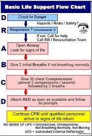 Apply First Aid Drabcd Action Plan